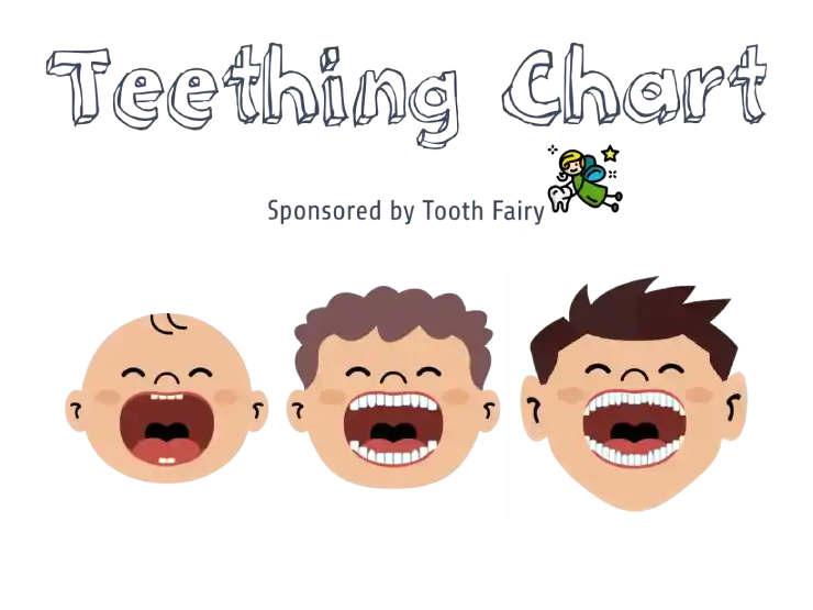 teething-chart key visual