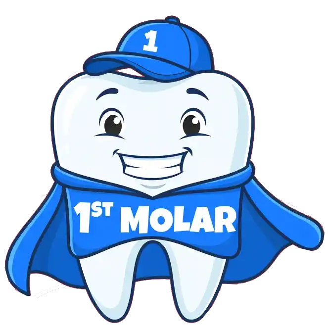 Illustration of a first molar tooth with a happy face, dressed as a superhero, symbolizing the importance of first permanent molars in dental health.