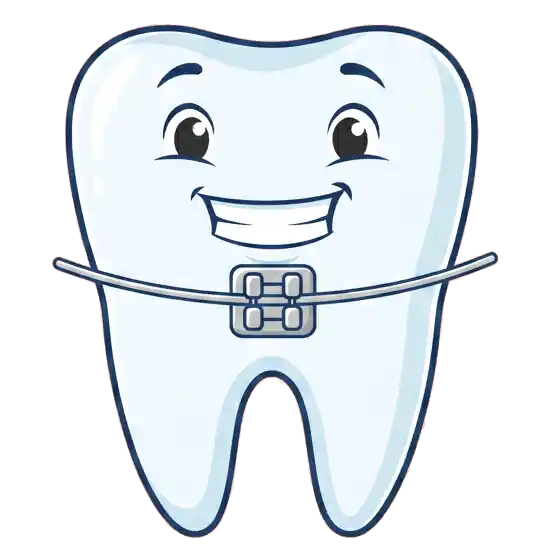 Illustration of a molar wearing orthodontic braces.